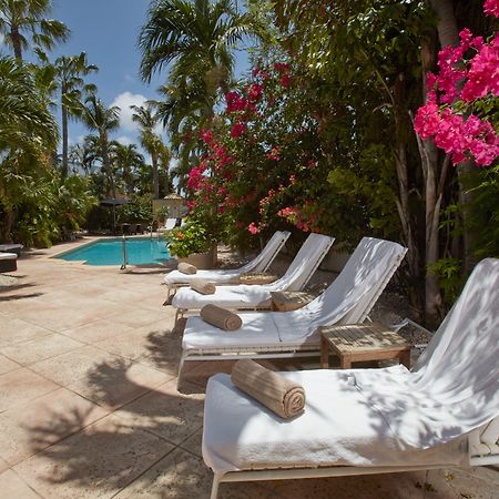 Paradera Park Aruba Oranjestad Luaran gambar