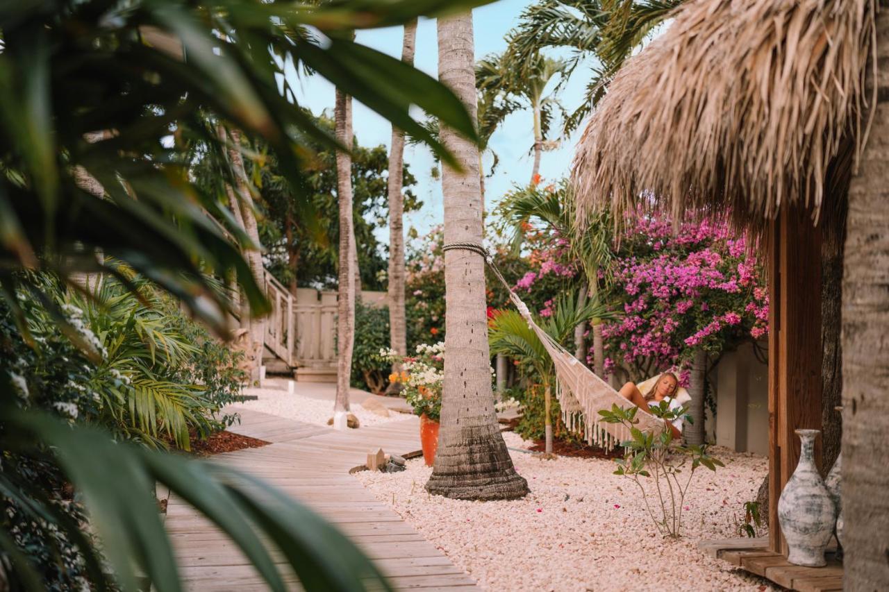Paradera Park Aruba Oranjestad Luaran gambar