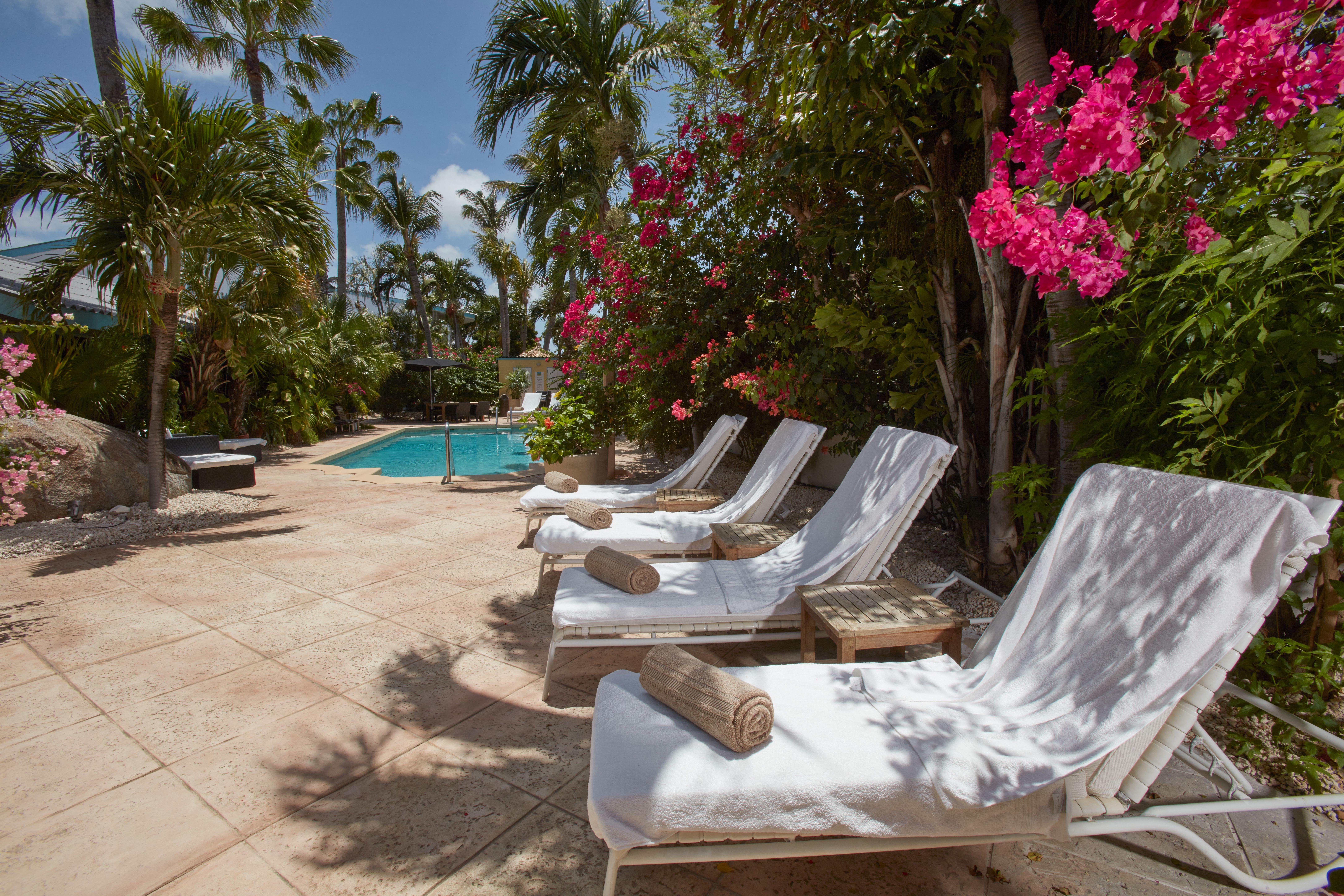 Paradera Park Aruba Oranjestad Luaran gambar