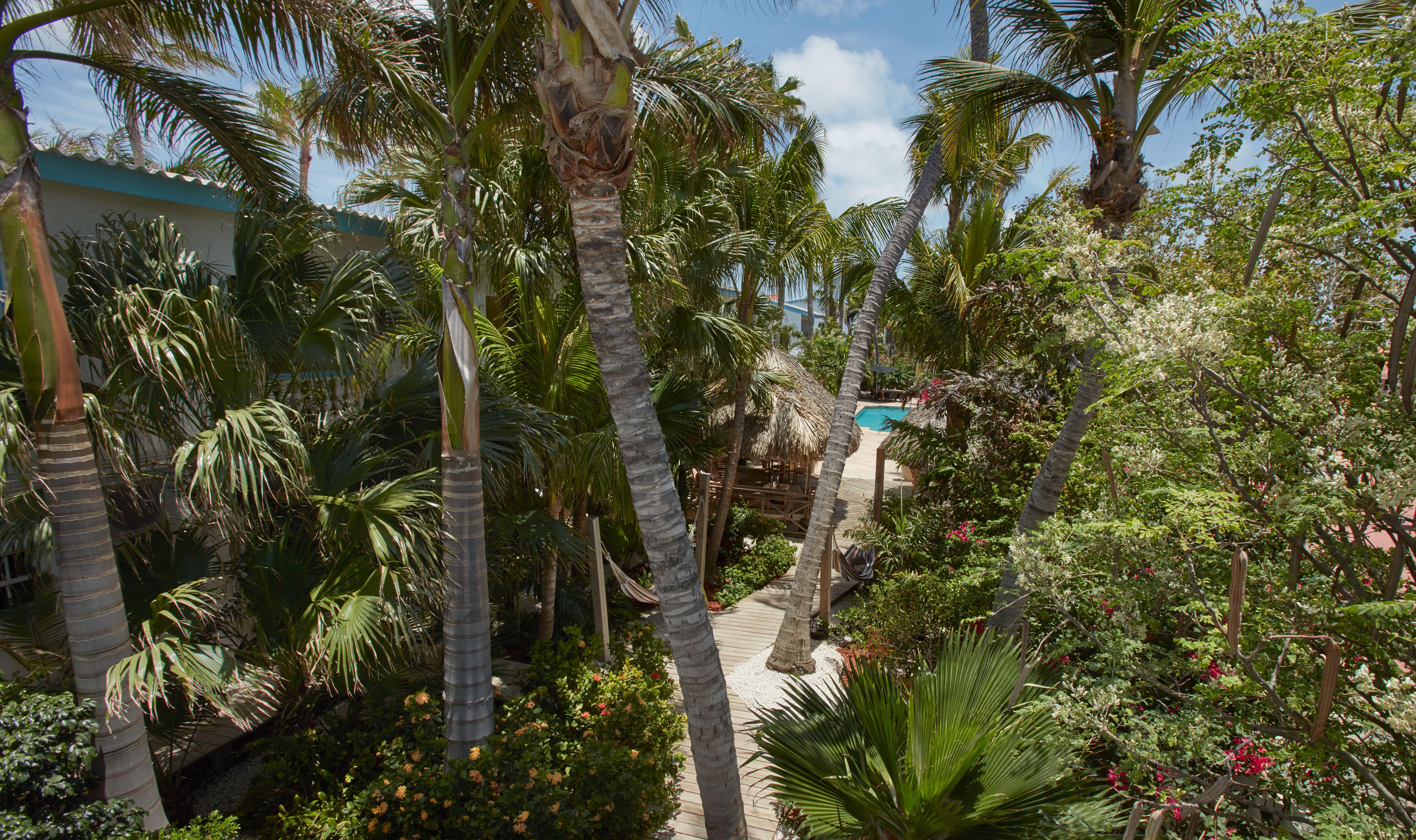 Paradera Park Aruba Oranjestad Luaran gambar
