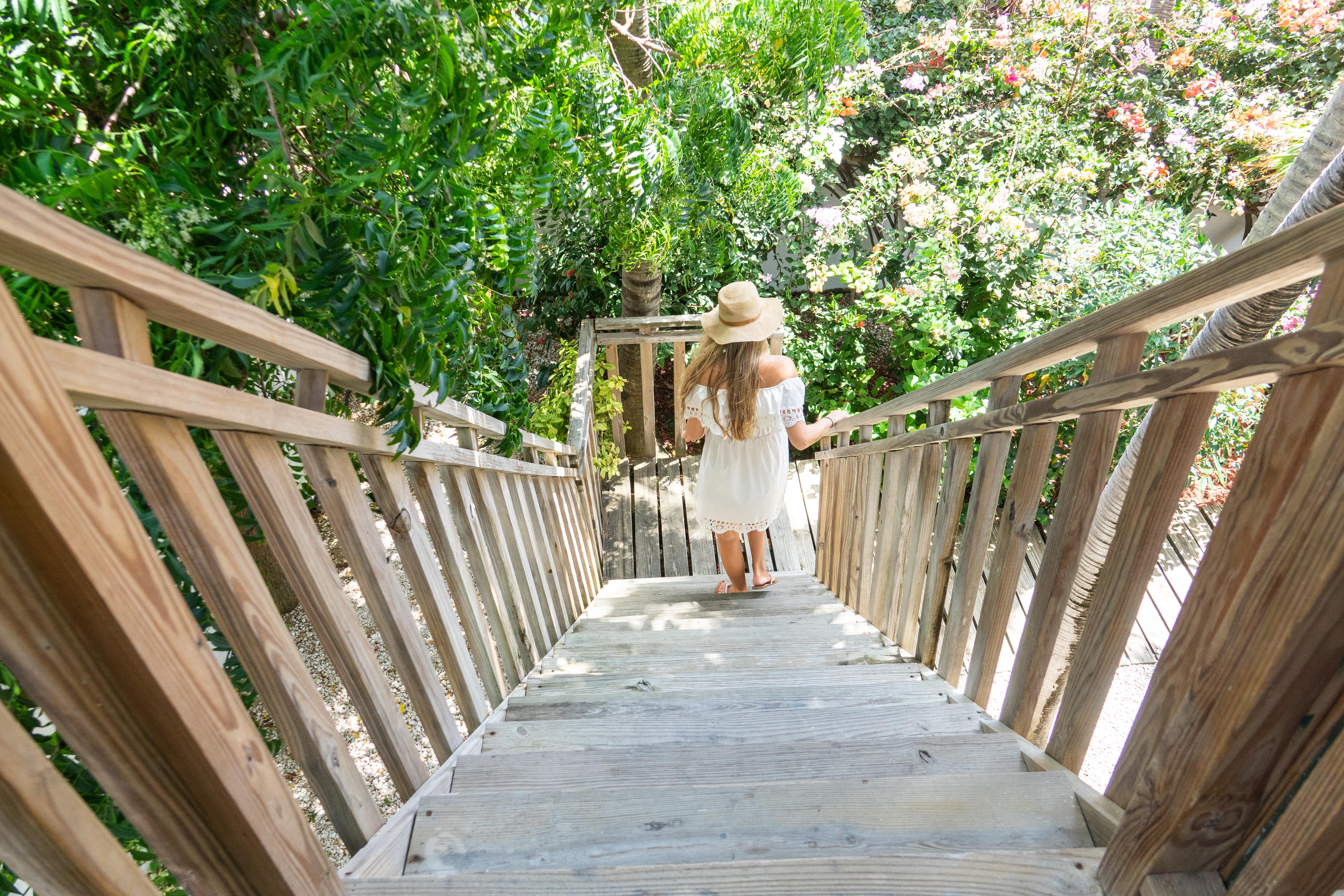 Paradera Park Aruba Oranjestad Luaran gambar